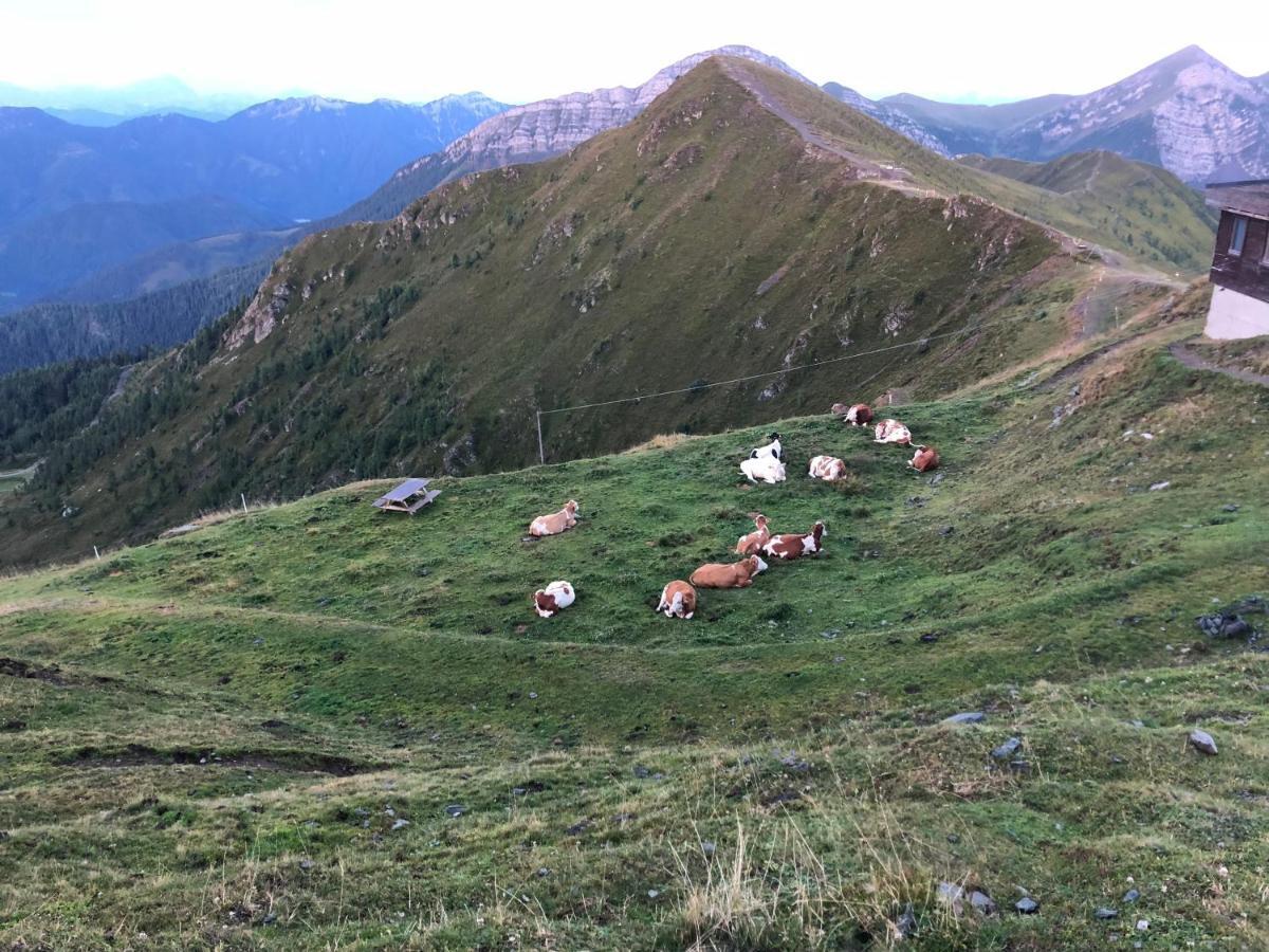 Apartamento Haus Mup Spittal an der Drau Exterior foto